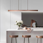 LED Pendant Lamp | Modern Style