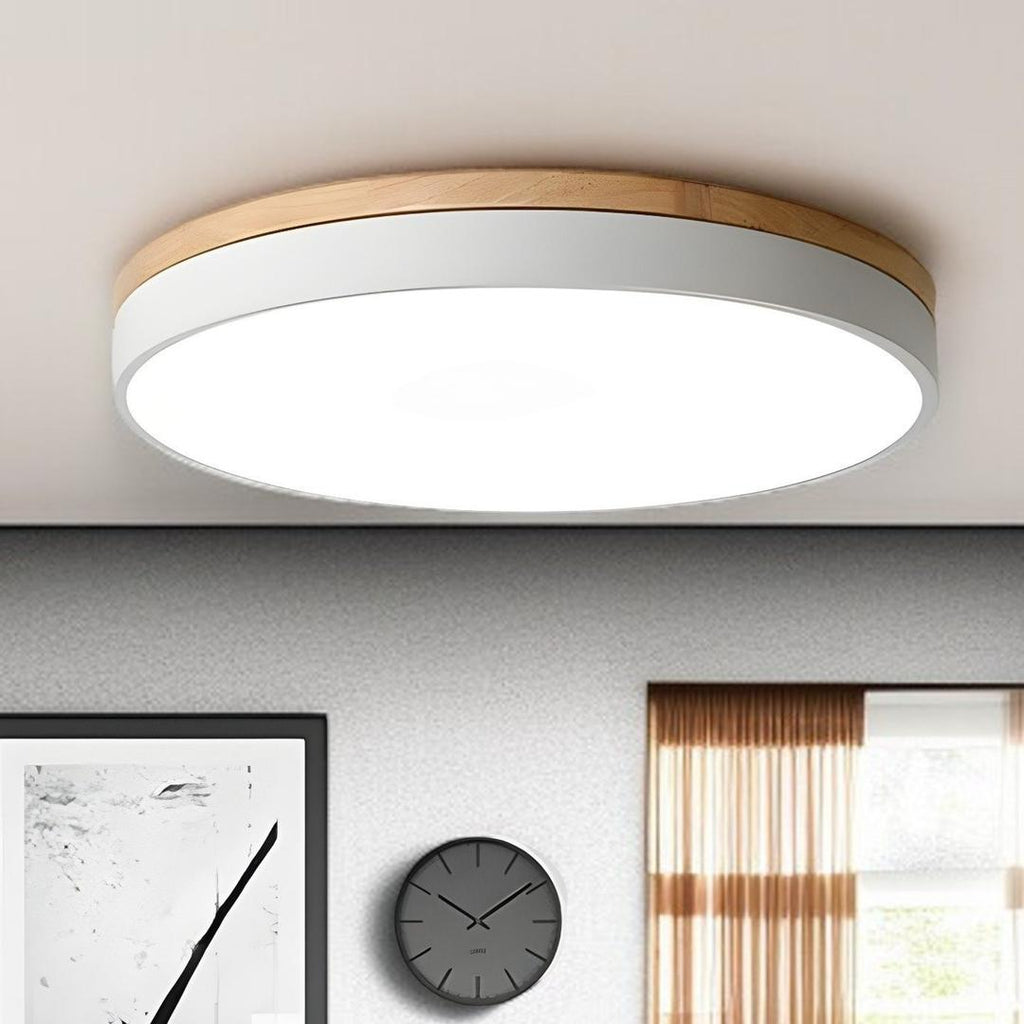 Lámpara De Techo De Acrílico | Moderna