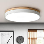 Lámpara De Techo De Acrílico | Moderna