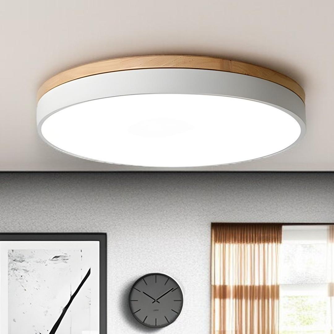 Lámpara De Techo De Acrílico | Moderna