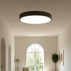 Lámpara de Techo LED Moderna de Hierro y Acrílico | Redonda