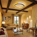 Modern Designer LED Ceiling Lamp
