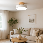 Lámpara de Techo Redonda Escandinava | Diseño Minimalista