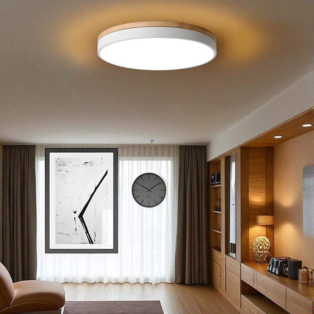 Lámpara De Techo De Acrílico | Moderna