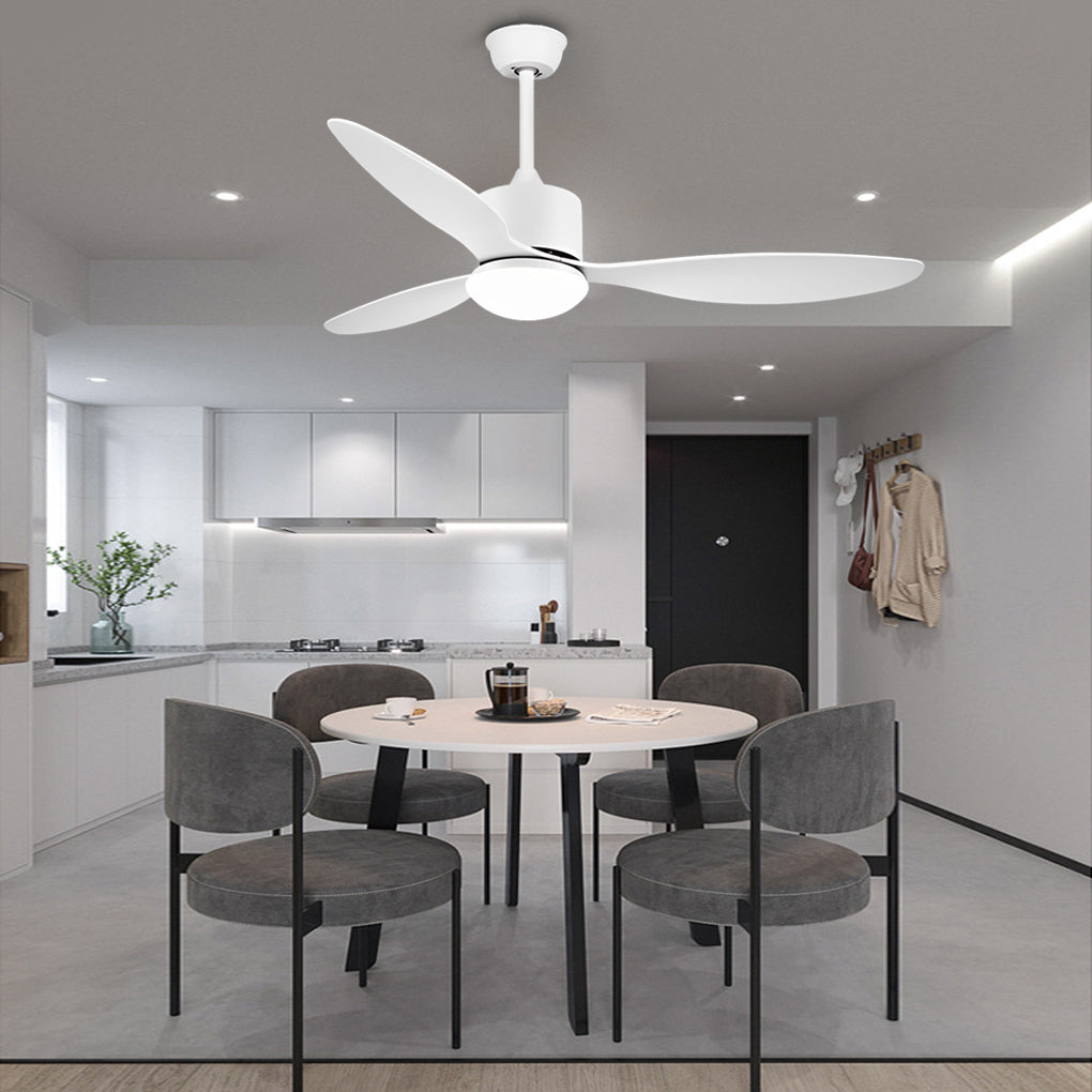 Modern Ceiling Fans with Lighting, 3 Blades, Quiet, Adjustable and Remote Control