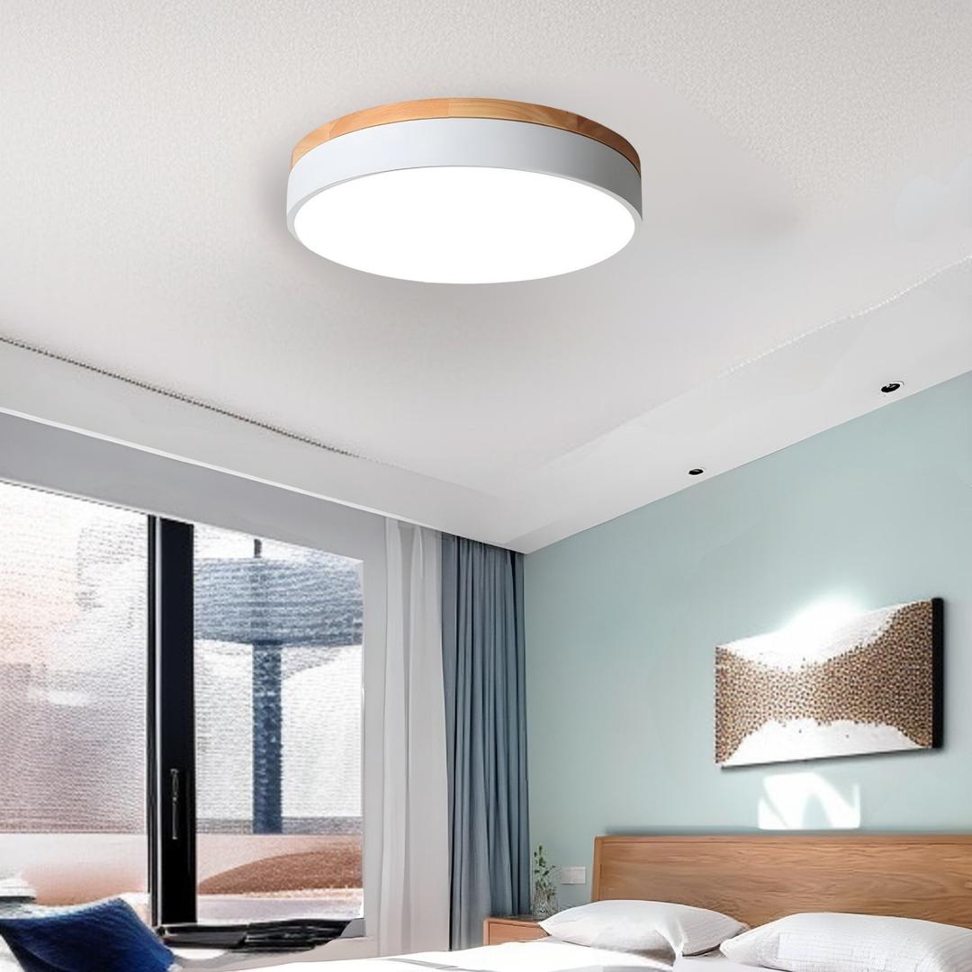 Lámpara De Techo De Acrílico | Moderna