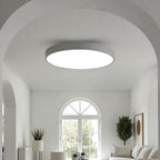 Lámpara de Techo LED Moderna de Hierro y Acrílico | Redonda