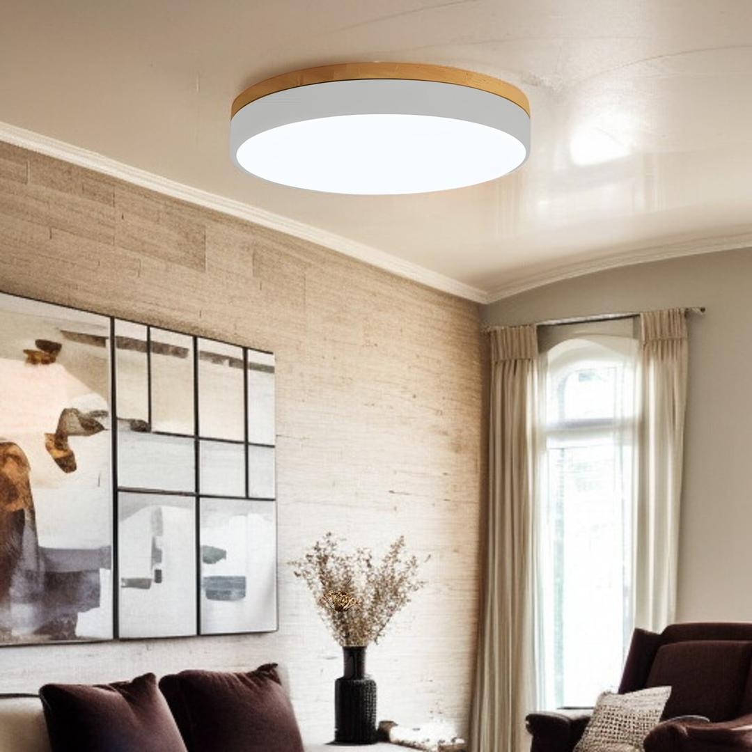 Lámpara De Techo De Acrílico | Moderna