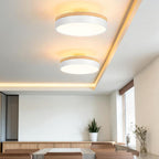 Lámpara De Techo De Acrílico | Moderna