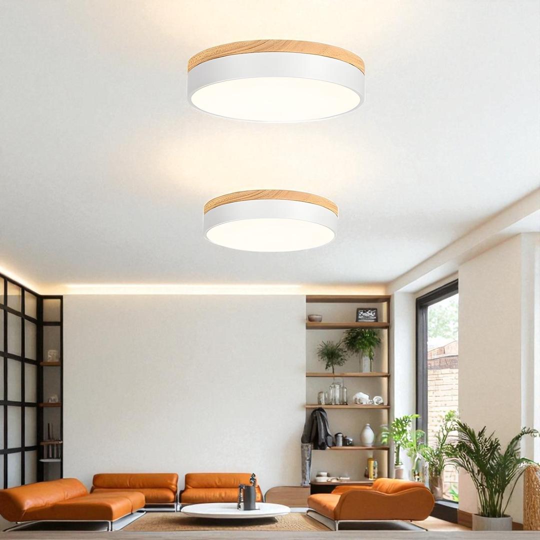 Lámpara De Techo De Acrílico | Moderna