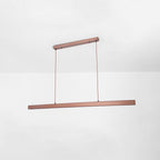 LED Pendant Lamp | Modern Style