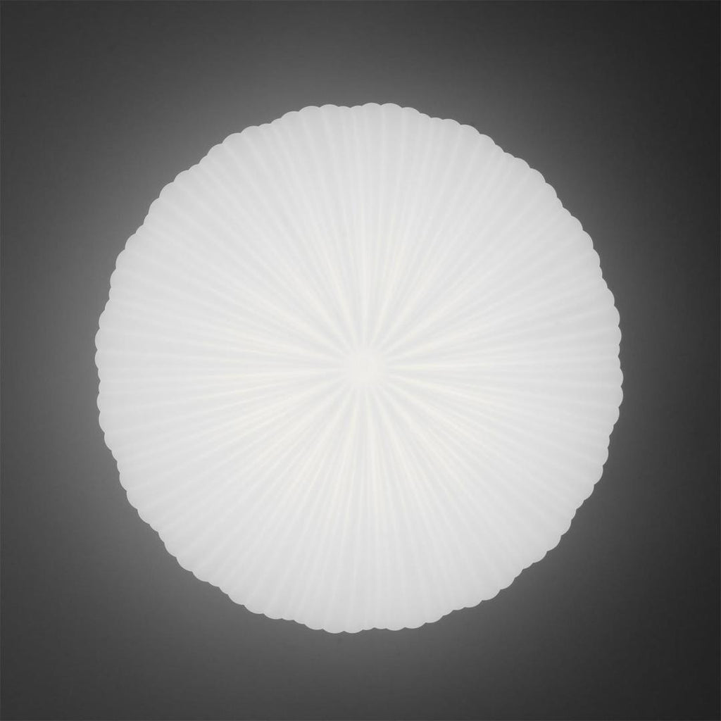 Artistically Designed Ceiling Lamp | Remote Control