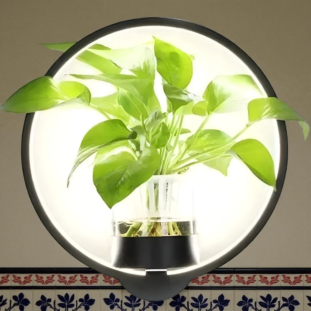 Luz De Pared Con Planta | Diseño Innovador