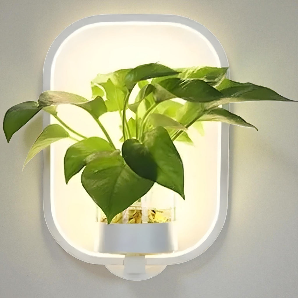 Luz De Pared Con Planta | Diseño Innovador