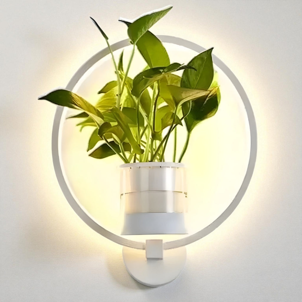 Luz De Pared Con Planta | Diseño Innovador