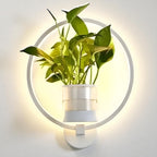 Luz De Pared Con Planta | Diseño Innovador