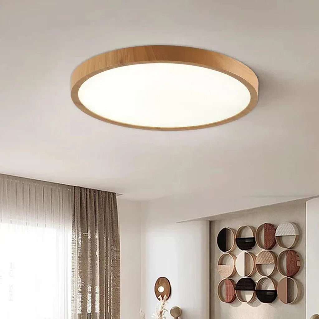 Round Ceiling Lamp | Modern