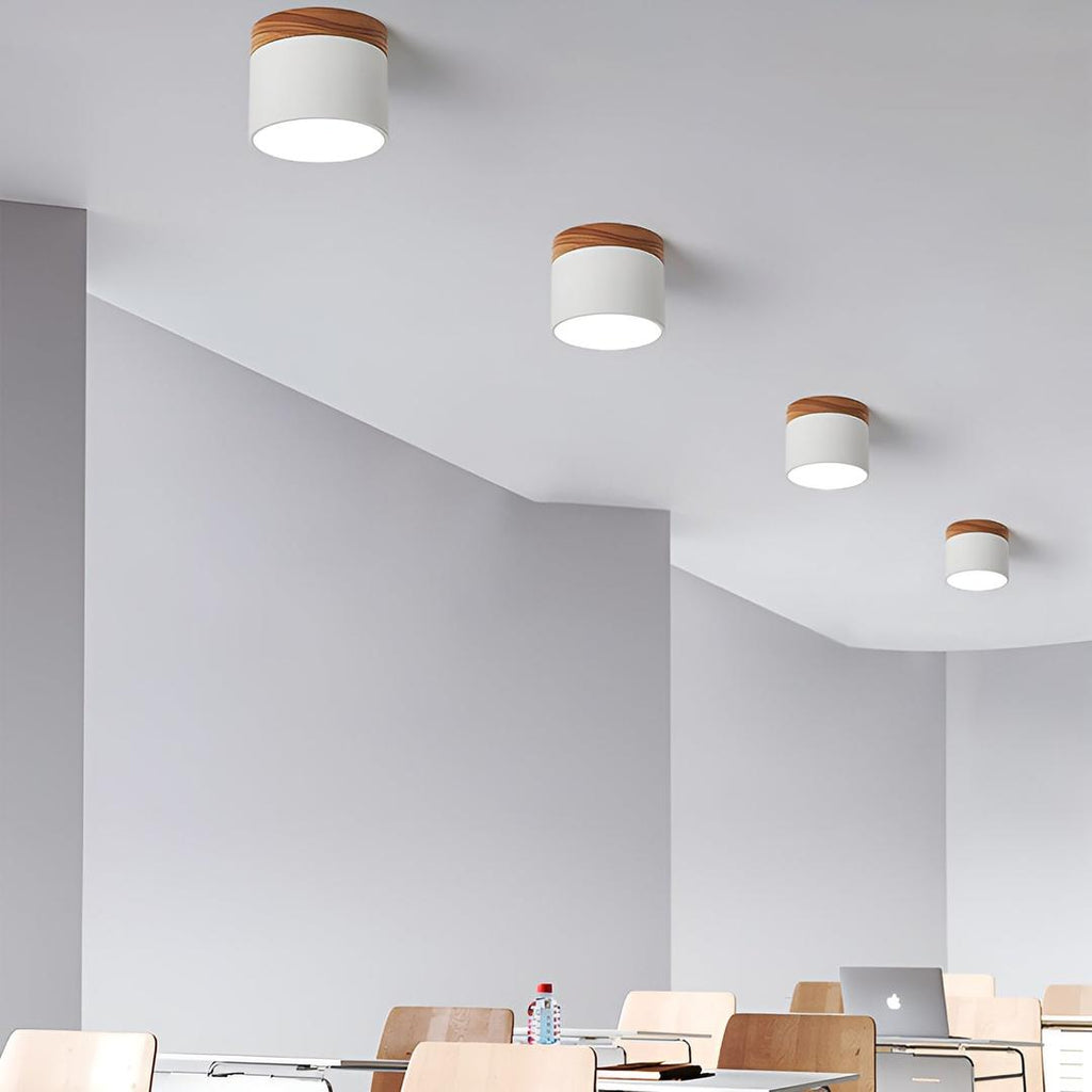 Lámpara de Techo Cilíndrica de Superficie | Estilo Vintage