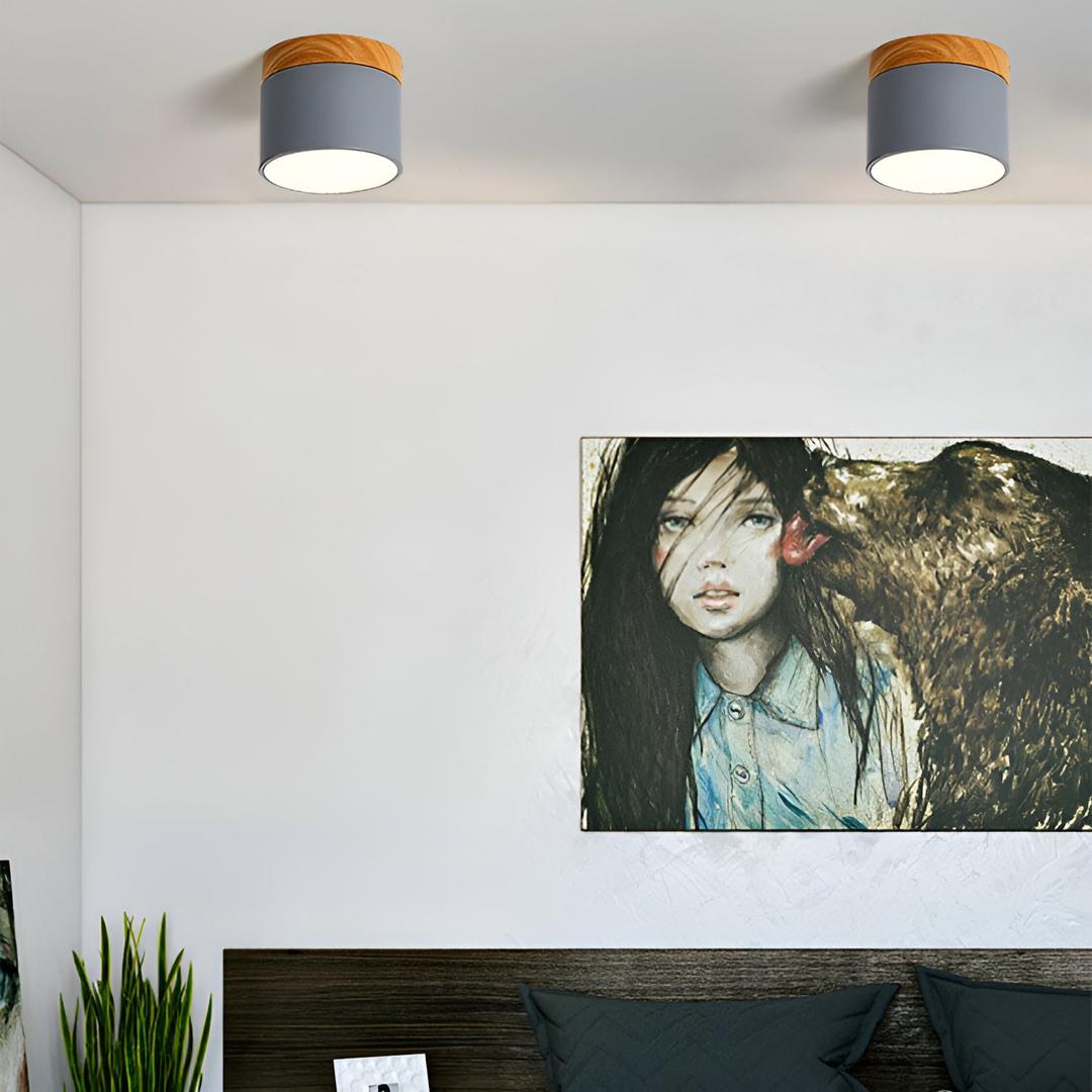 Lámpara de Techo Cilíndrica de Superficie | Estilo Vintage