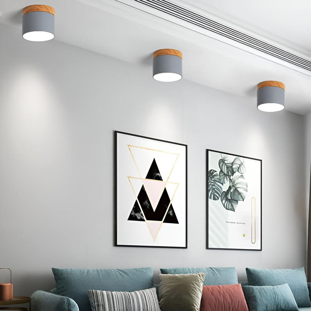 Lámpara de Techo Cilíndrica de Superficie | Estilo Vintage