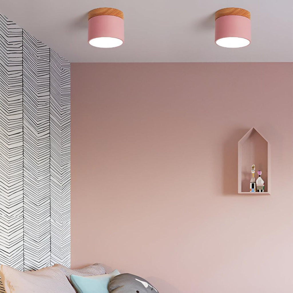 Lámpara de Techo Cilíndrica de Superficie | Estilo Vintage