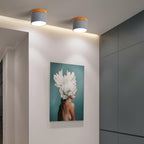 Lámpara de Techo Cilíndrica de Superficie | Estilo Vintage