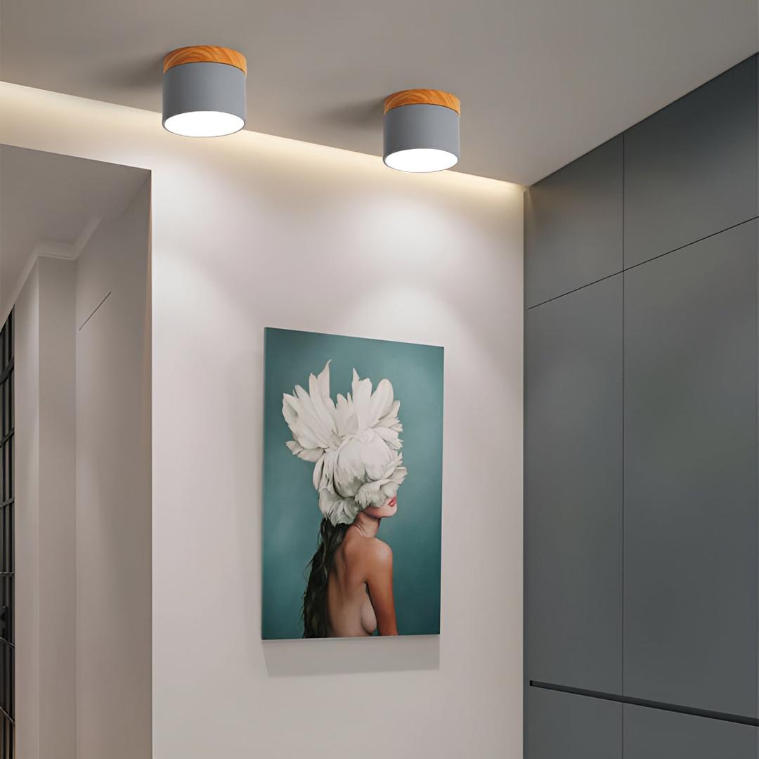 Lámpara de Techo Cilíndrica de Superficie | Estilo Vintage