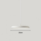 Scandinavian Pendant Lamp | Modern Accent