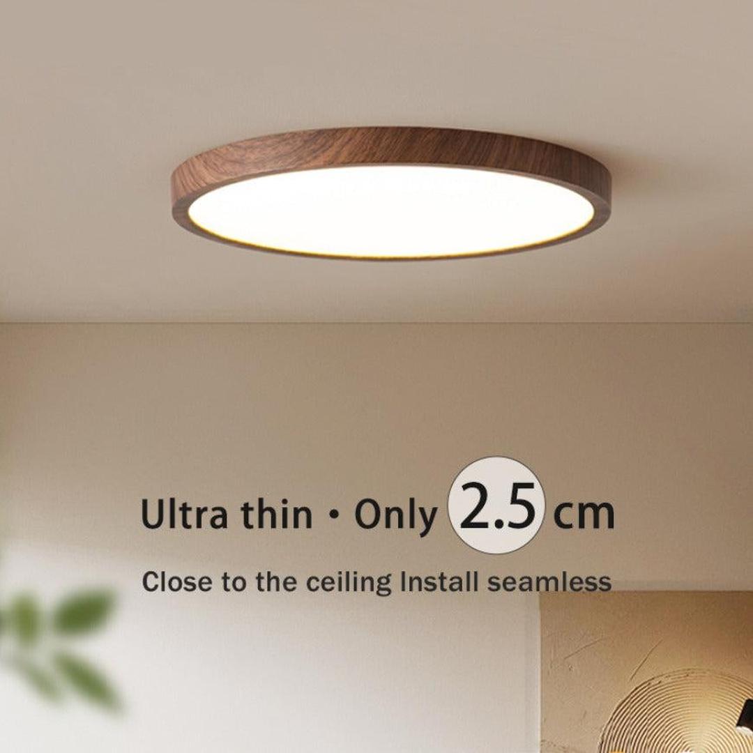 Round Ceiling Lamp | Modern