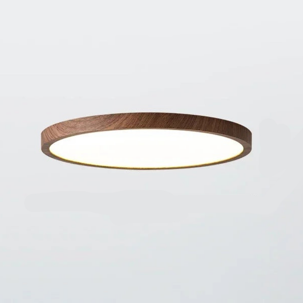 Round Ceiling Lamp | Modern