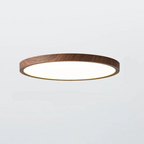 Round Ceiling Lamp | Modern