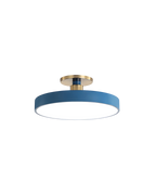 Lámpara de Techo Semiatinada | Diseño Moderno