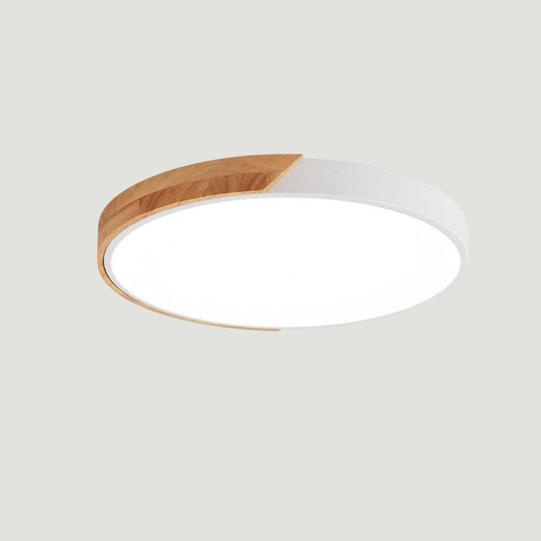 Lámpara de Techo Moderna | Estética Interior