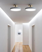 Lámpara de Techo Semiatinada | Diseño Moderno