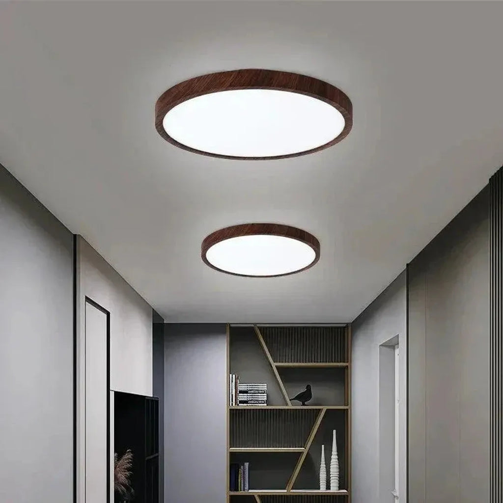 Round Ceiling Lamp | Modern