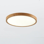 Round Ceiling Lamp | Modern
