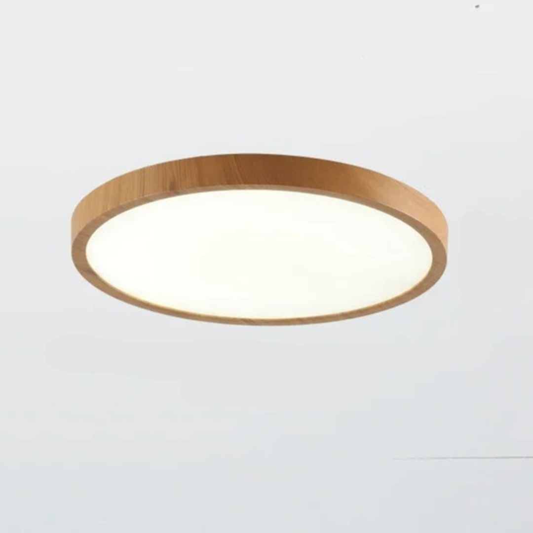 Round Ceiling Lamp | Modern