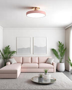 Lámpara de Techo Semiatinada | Diseño Moderno