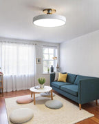 Lámpara de Techo Semiatinada | Diseño Moderno