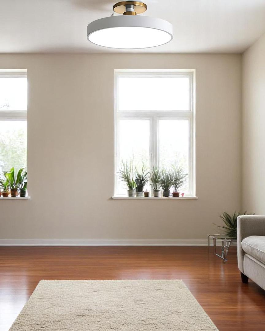 Lámpara de Techo Semiatinada | Diseño Moderno