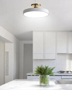 Lámpara de Techo Semiatinada | Diseño Moderno