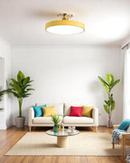 Lámpara de Techo Semiatinada | Diseño Moderno